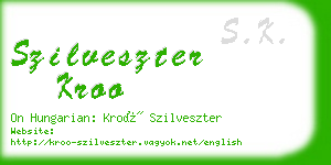 szilveszter kroo business card